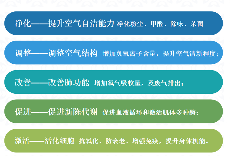 呼吸清新，守护健康——蓝天豚负氧离子涂料，打造无醛之家