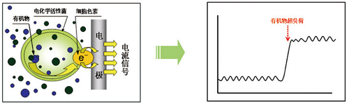 香港和宝典宝典资料大全